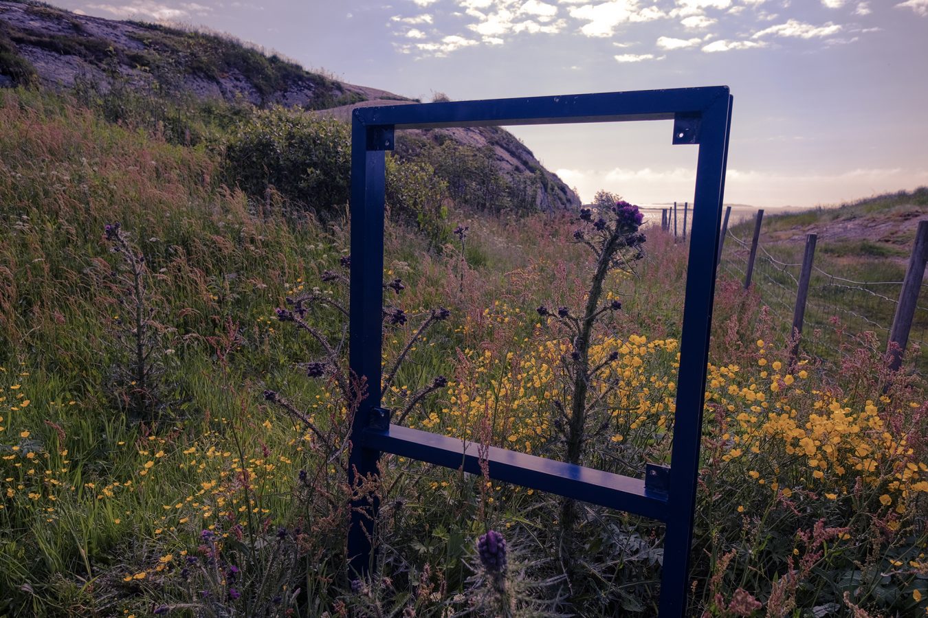 Everyday Psychedelics